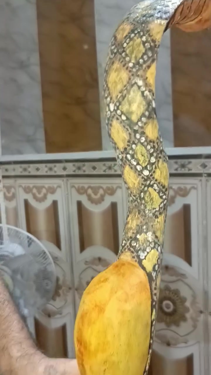 سلام عليكم اخوان هاي العائله كوبره البيع مكاني البصره الحيانيه وهاذ رقمي للتواصل واتساب ***********السعر 75 هاي الصوره ضالمتهه بس بالحقيقه تحفه اجمال بهواي
