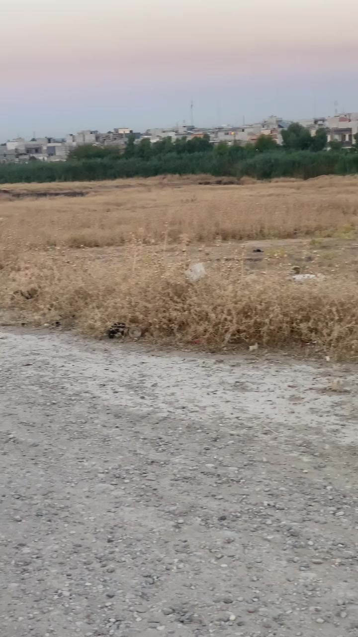 🔷سلام عليكم قطعت ارض
🔷البيع مساحت الارض200
🔷زراعي سند 25
🔷متوفر خدمات💦 ماء وكهرباء
🔷السعر  خاص  
🔷الارض قرب عن السايدين 
🔷مال حي التنك يم     
🔷المضيف النائب وطبان 
🔷الاستفسار علا هاذه الرقم
🔷  ***********وبي وتساب
