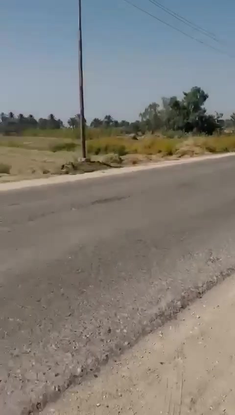 صدر الدغارة • سند ٢٥ • ٣ دونم