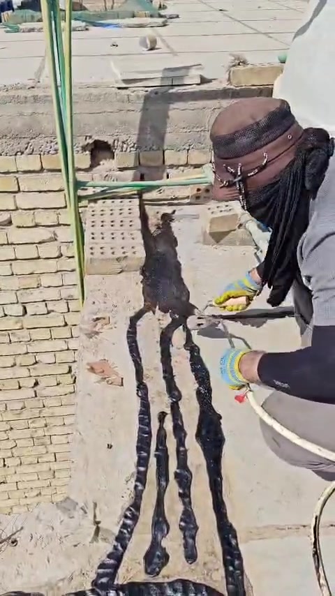 يالله تزفيت صطوووح وعمل ماستك شغل درجة أولى  تريد كرستة وعمل تريد بس عمل خادم الكم خلفة ابو حوراء ***********
