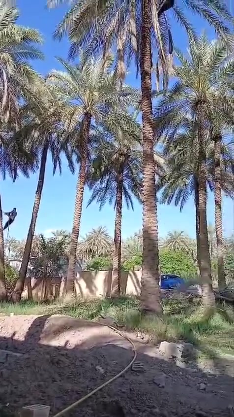 كربلاء الحسينية • ٥٠٠م • سند٢٥