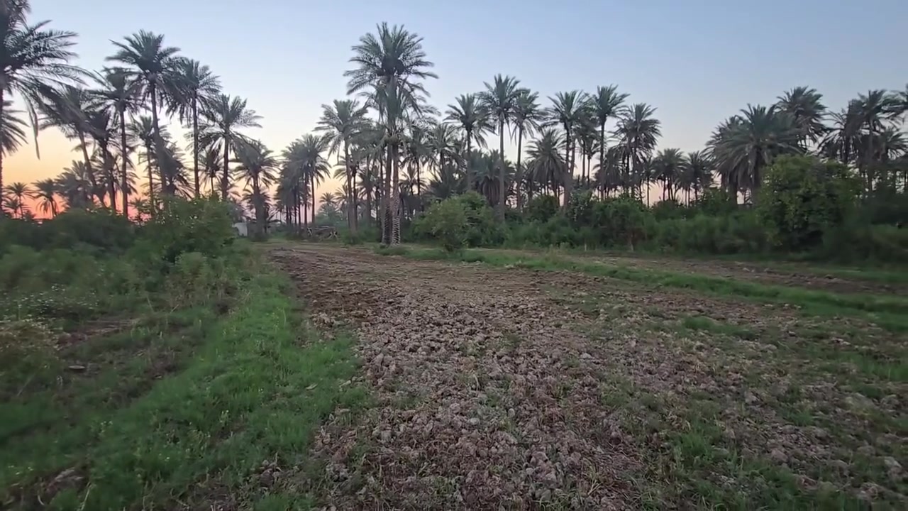 البيع شاطيه بمساحه 1320 +بستان بمساحه 3861+ارض ( طابو صرف 25 تحويل ثاني يوم   بمساحه 22دونم كلهن حصه مائيه وحيدها +    
عنوان  : واسط قضاء الزبيديه ( ارض عزت كريم العبدلله الدليمي)
ملاحضه ( تباع كلها او جزء منها)
تفاصيل اكثر داخل المنشور او للأستفسار اكثر اتصل علئ الارقام التاليه *********** بي واتساب
