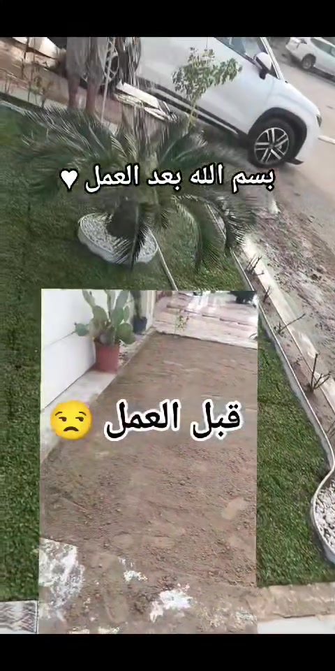 تنسيق حدائق • خدمة منزلية