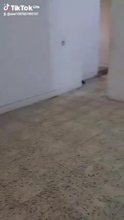 شقه للايجار • طابق أول • الأعظمية