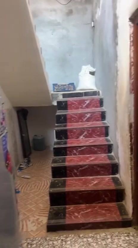 اعلان بيت سند زراعي 25 للبيع حي الاسره الزراعي شارع العلويه اللي مقابل ماركت بيت سياب  مساحه 150 متر بناء بلوك وسقف البيتونه ساندويتش يحتوي على غرفتين نوم وصاله واستقبال ومطبخ اللي يرغب بالشراء يتصل على الارقام التاليه *********** السعر 65 وبي مجال اللي يحب يتصل وبالخدمه
