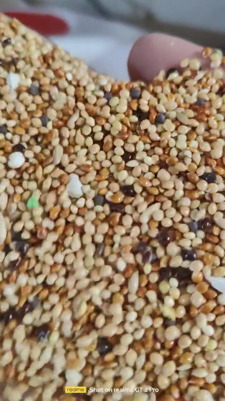 خلطة فنشات • دخن متنوع • الرفاعي