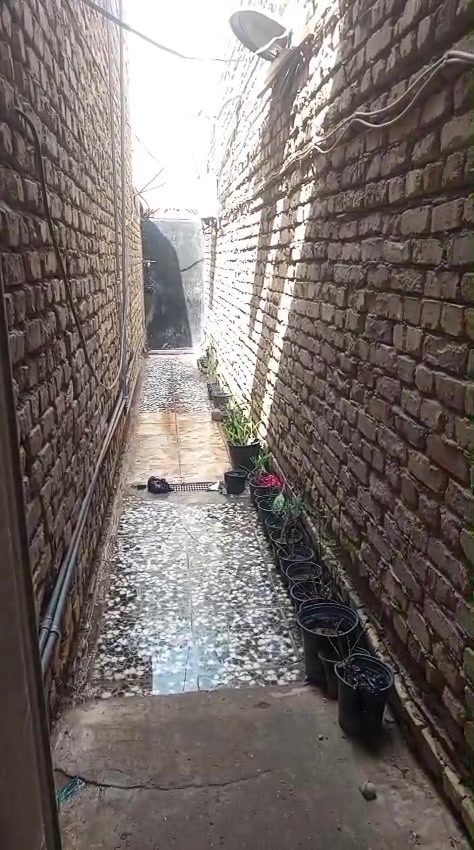 نص قطعة خلفية للبيع مدينة الصدر بقطاع ٤٠ بناء عگادة طابق واحد المساحة ٧٢م السعر ٧٠
