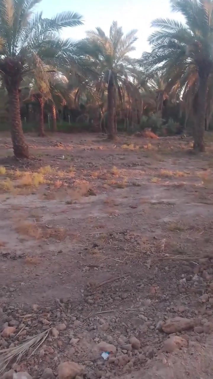 سلام عليكم للبيع 600متر واجهه 20 ونزل 40 طابو صرف للبيع بسعر جدا جدا جدا مناسب جوه سوك تنبع 400لو 600 لو 300  يتوفر كافه خدمات موقع كاعد صاير على اشرع طريق كربلاء بغداد تبعد عن الامام الحسين 6لو 5كيلو يعني تركب كيه 500 يذبك  يم الامام  للاستفسار الاتصال على الرقم *********** او خاص
