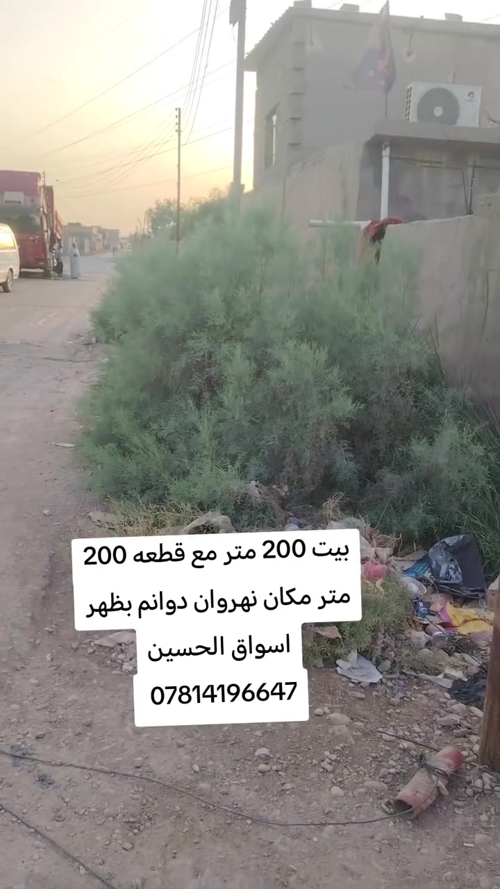 لا توجد تفاصيل
