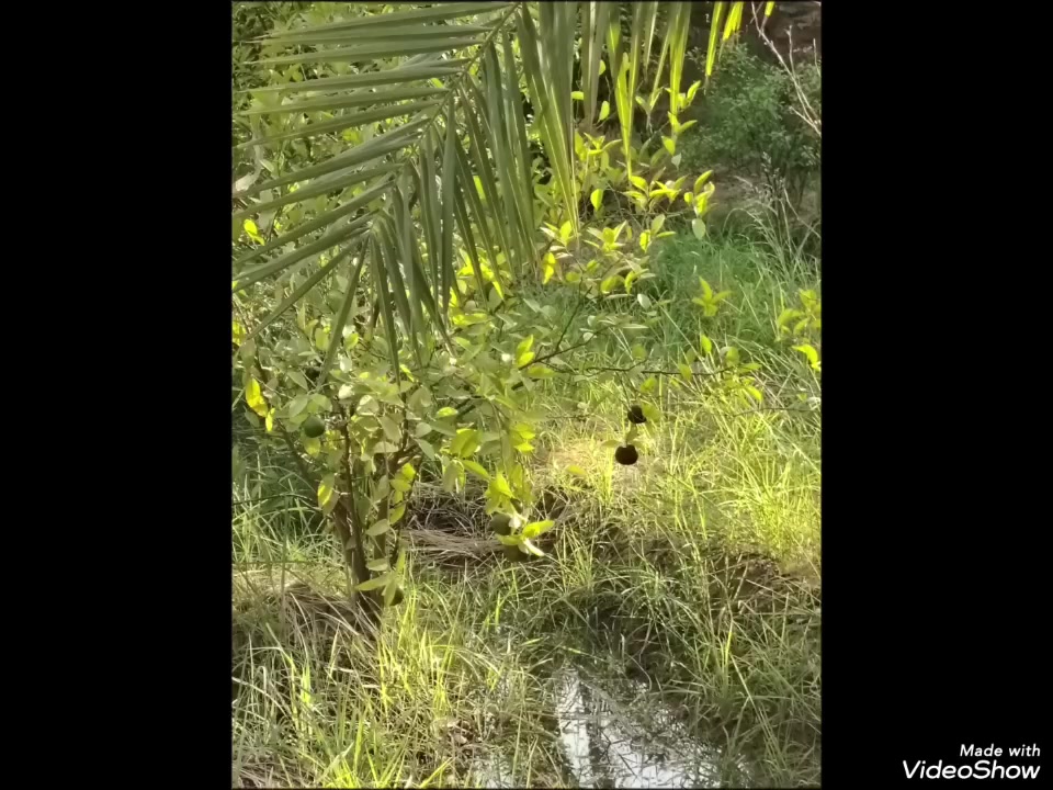 من رخصة الادمن 
للبيع...للبيع....للبيع 
دونمين طابو زراعي سند ٢٥تحويل مباشر شاطئيه بموقع مميز جدا  قرب معمل السمنت للاستفسار الاتصال على الأرقام 
***********
*********** او مراجعة مكتب دلهي مقابل مطعم البهار حي المعلمين الثانيه
