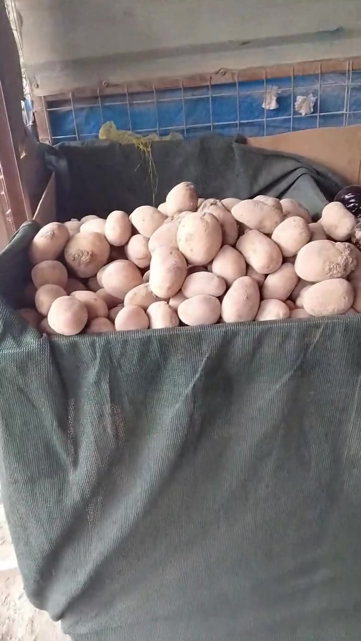 مسواك جديد • ناحية كنعان • زورونه