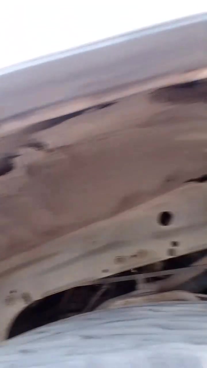 جنبي • ٢٠١٣ • رقم كربلاء