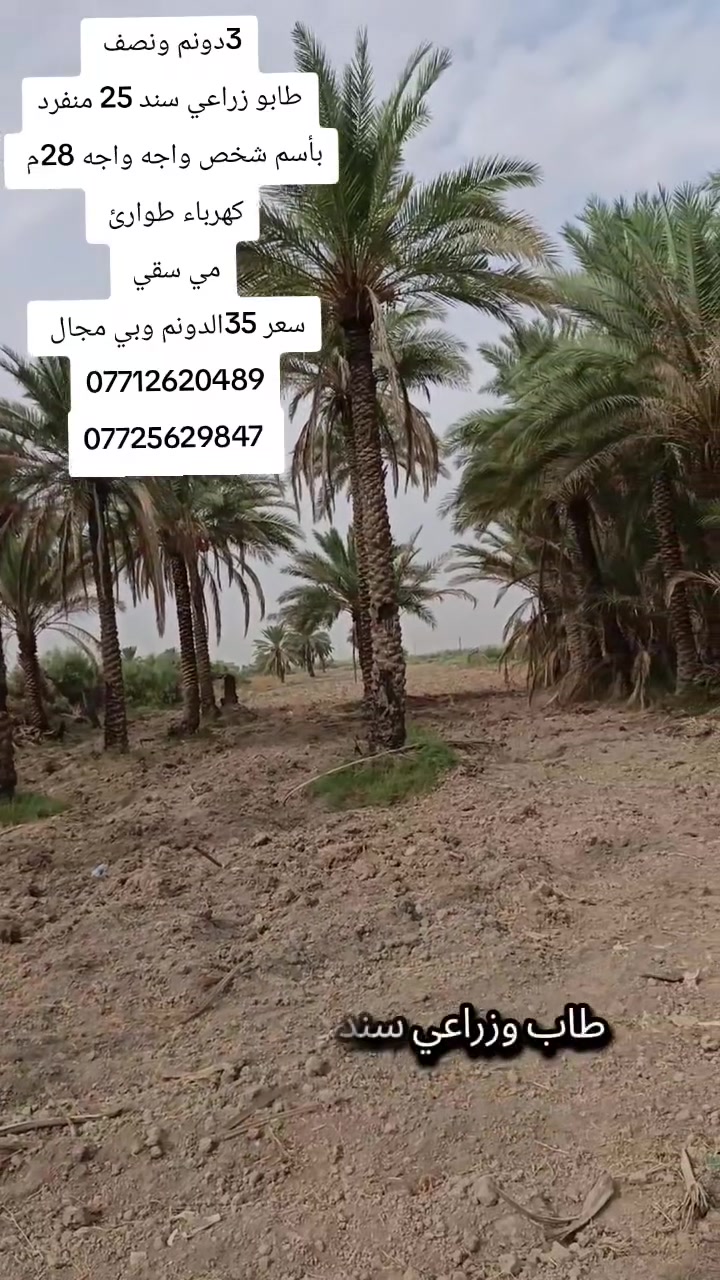 الهنديه الرجيبه • ٣٥٠٠٠م • مكتب سيد مجتبى