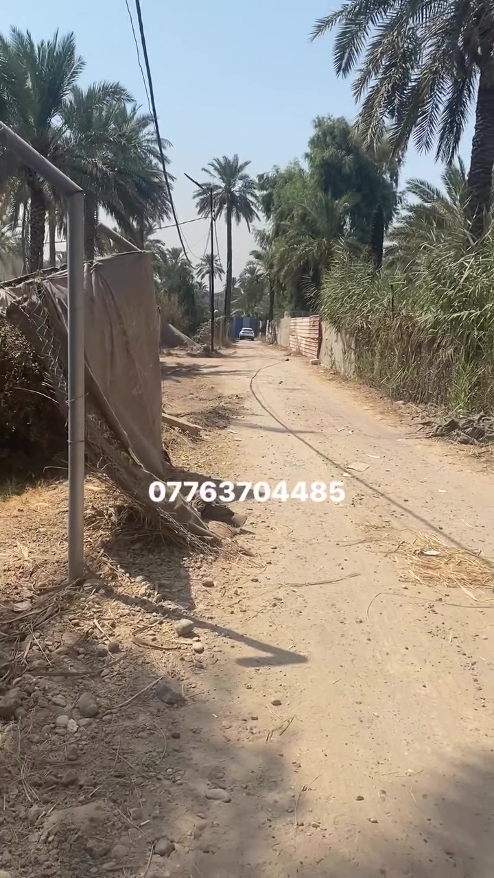 لا توجد تفاصيل
