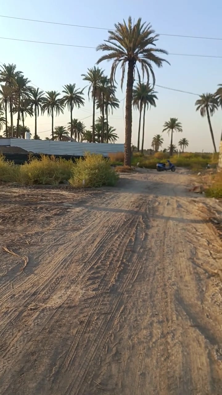 البكرلي • شارع الغسل • ١٢٦م