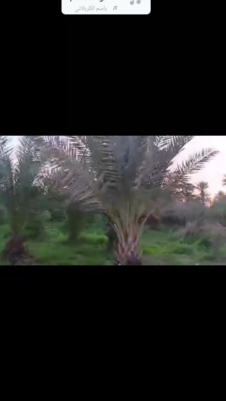 6 دونم مع 3 دار سكن وجها 40 على تبليط مباشر مي كهرباء مي اساله العنوان طويريج منطقة شط طله سند منفرد بسم شخص واحد سعر 80 مليون وبي مجال بيها 250 نخله 600 بين رمان وعرموط وتفاح مشمش تين كاع كافه الخدمات طلب والستفسار مراسل الصفحه*********** @إشارة
