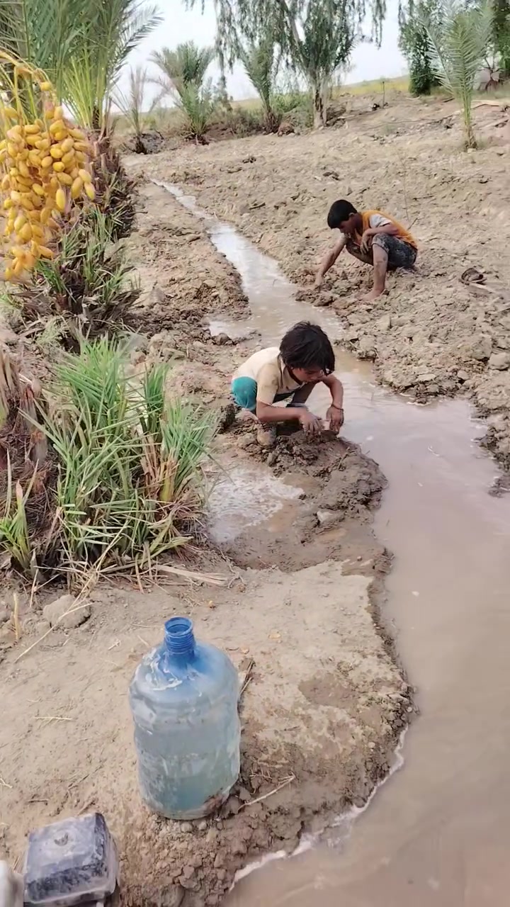 آبار ارتوازية • حفر يدوي وآلي • تجفيف أراضي