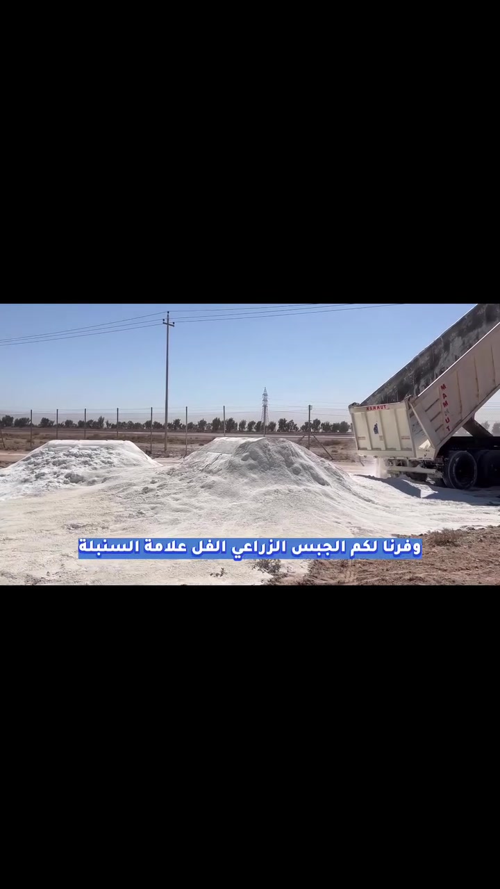 🌱 أرضك مَالِحة؟ متسبخة؟ المي ما ينفذ بيها؟ والنبات مهما تسمّده ما يعطيك النتيجة اللي تريدها؟

المشكلة مو دائمًا نقص سماد…
أحيانًا المشكلة تبدأ من التربة نفسها.

✅ الحل يبدأ من جبس السنبلة الزراعي
من شركة الشروق المعاصر للتنمية والتطوير الزراعي.

جبس السنبلة الزراعي مصدر للكالسيوم والكبريت، ويُستخدم بصورة خاصة لتحسين الأراضي المتأثرة بالصوديوم؛ إذ يساعد الكالسيوم على إزاحة الصوديوم من التربة، ومع توفر الغسل والصرف الجيد يساعد على إخراجه بعيدًا عن منطقة الجذور.

🌿 شنو يسوي جبس السنبلة لأرضك؟

🔸 يساعد على معالجة مشكلة الصودية والتسبخ.
🔸 يساعد على التخلص من الصوديوم المتراكم حول الجذور مع الغسل والصرف.
🔸 يحسن بناء وتماسك حبيبات التربة.
🔸 يقلل من التصلب والقشرة السطحية في الترب المناسبة لاستخدامه.
🔸 يحسن نفاذية وحركة مياه الري داخل التربة.
🔸 يساعد على تحسين التهوية وانتشار الجذور.
🔸 يزوّد النبات بعنصري الكالسيوم والكبريت.
🔸 يساعد على تهيئة بيئة جذرية أفضل لاستفادة النبات من الماء والعناصر الغذائية.

🌴 وين نستخدم جبس السنبلة الزراعي؟

✔️ الأراضي الصودية والمتسبخة.
✔️ بساتين ومزارع النخيل.
✔️ عند تجهيز تربة زراعة فسائل النخيل.
✔️ الحنطة والشعير ومحاصيل الحبوب.
✔️ الخضروات والأعلاف.
✔️ الحمضيات وأشجار الفاكهة.
✔️ المشاتل وخلطات تربة الشتلات.
✔️ الحدائق المنزلية والسنادين عند الحاجة.
✔️ وفي الاستخدامات الزراعية الخاصة التي يدخل فيها الجبس، ومنها بعض مراحل تجهيز بيئات زراعة الفطر.

⭐ ولأن جودة الجبس تفرق… اختار السنبلة.

جبس السنبلة الزراعي
ناعم – عالي النقاوة – سهل التوزيع والاستخدام.

ومتوفر حسب حاجتك:

📦 مكيّس للكميات الاعتيادية.
🚛 فِل / سائب للمزارع والمشاريع والكميات الكبيرة.

📍 أينما كانت أرضك في العراق… نوصل لك.

🌾 جبس السنبلة الزراعي
لا تيأس من أرضك… رجّع للتربة بنيتها، وخلي الجذور تتنفس والمي يوصل إلها بصورة أفضل.

🔶 جبس السنبلة الزراعي – علامة السنبلة
🟠شركة الشروق المعاصر🟠

بغداد - طريق بعقوبة السياحي  - قرب الجسر الفرنسي
***********  -  ***********

السنبلة… البداية الصحيحة تبدأ من التربة.
