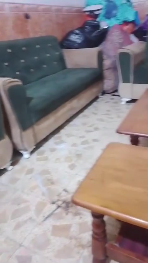 تخم تضيف • كنب • للبيع