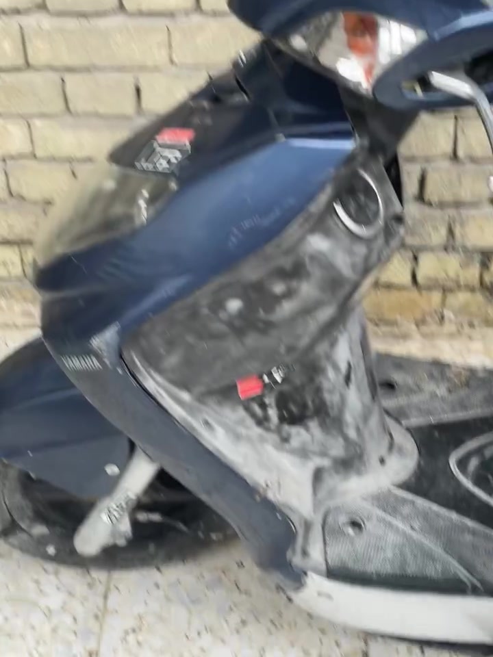سكنس فحل • نضيفه • مامفتوحه