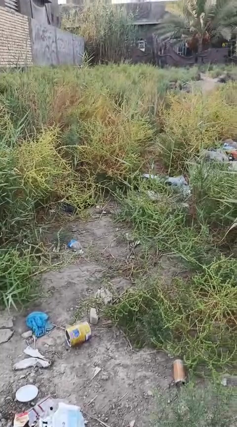 🌳🌺نوع العقار// قطعة زراعية للبيع
🌳🌺جنس العقار// طابو زراعي  سند 25 
🌳🌺 مساحة القطعة 250 متر مربع 

الوجه 10متر 
نزال 25 متر 

🌳🌺 موقع القطعة 
 بابل طريق حله  الديوانية قرب شركة الرنا منطقة الرشيدية تبعد عن الشارع العام 600 متر 
🌳🌺 للإتصال والاستفسار على رقم الهاتف ا التالي واتساب لتواصل  :

***********

بالتوفيق ان شاء الله 
تحياتي للجميع
