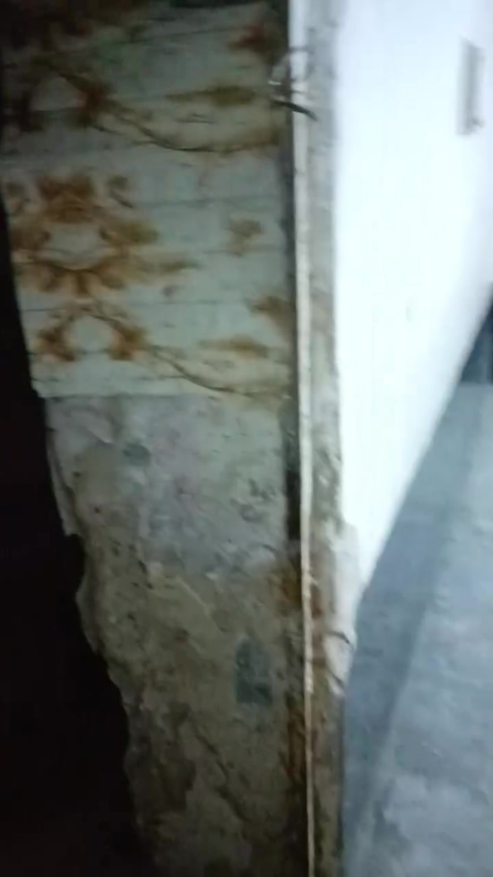 بيت للجار سعر مناسب 150اجاره تفاصيل داخل مقطع ‏‪***********‬‏
