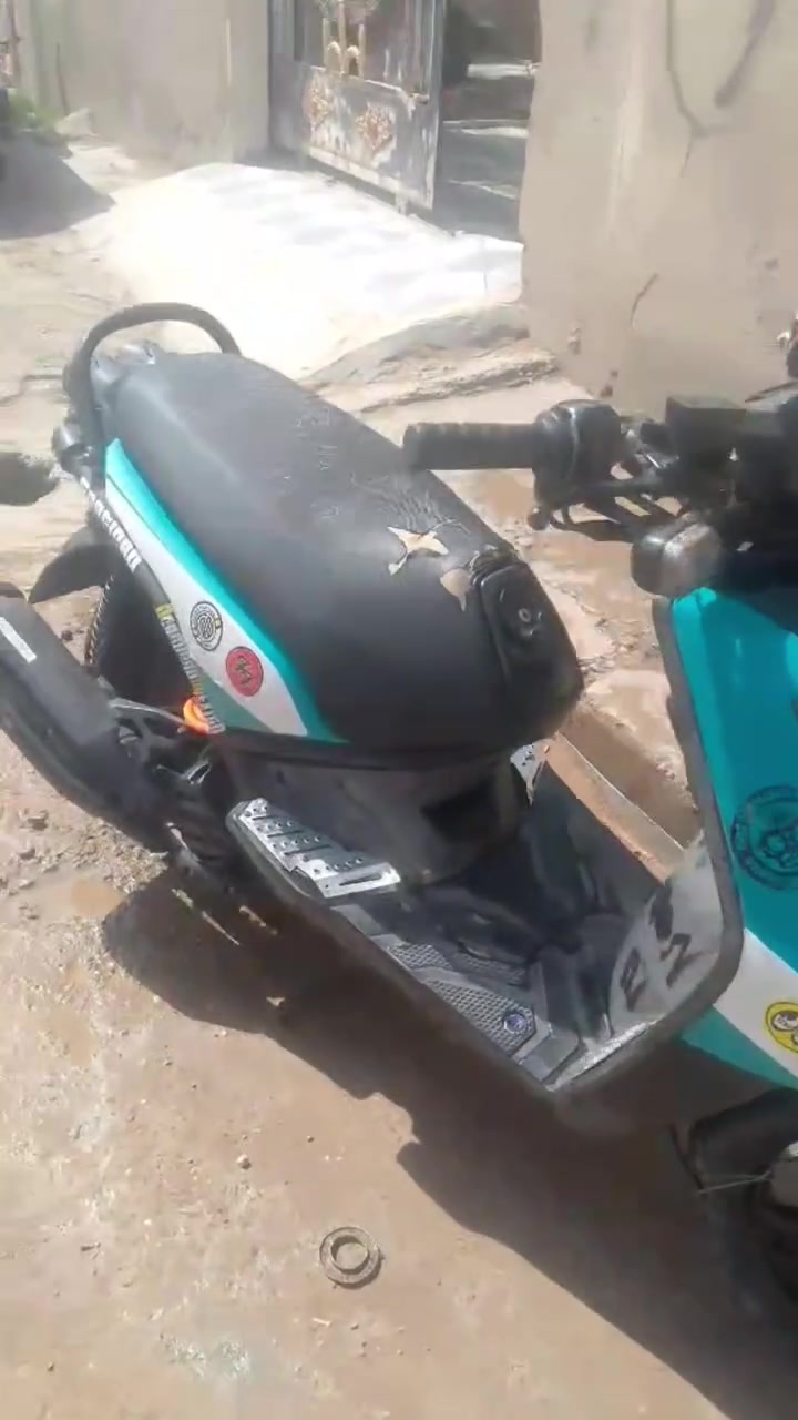 دراج سكنس جبلي البيع تعال كلب او شوف، ***********
