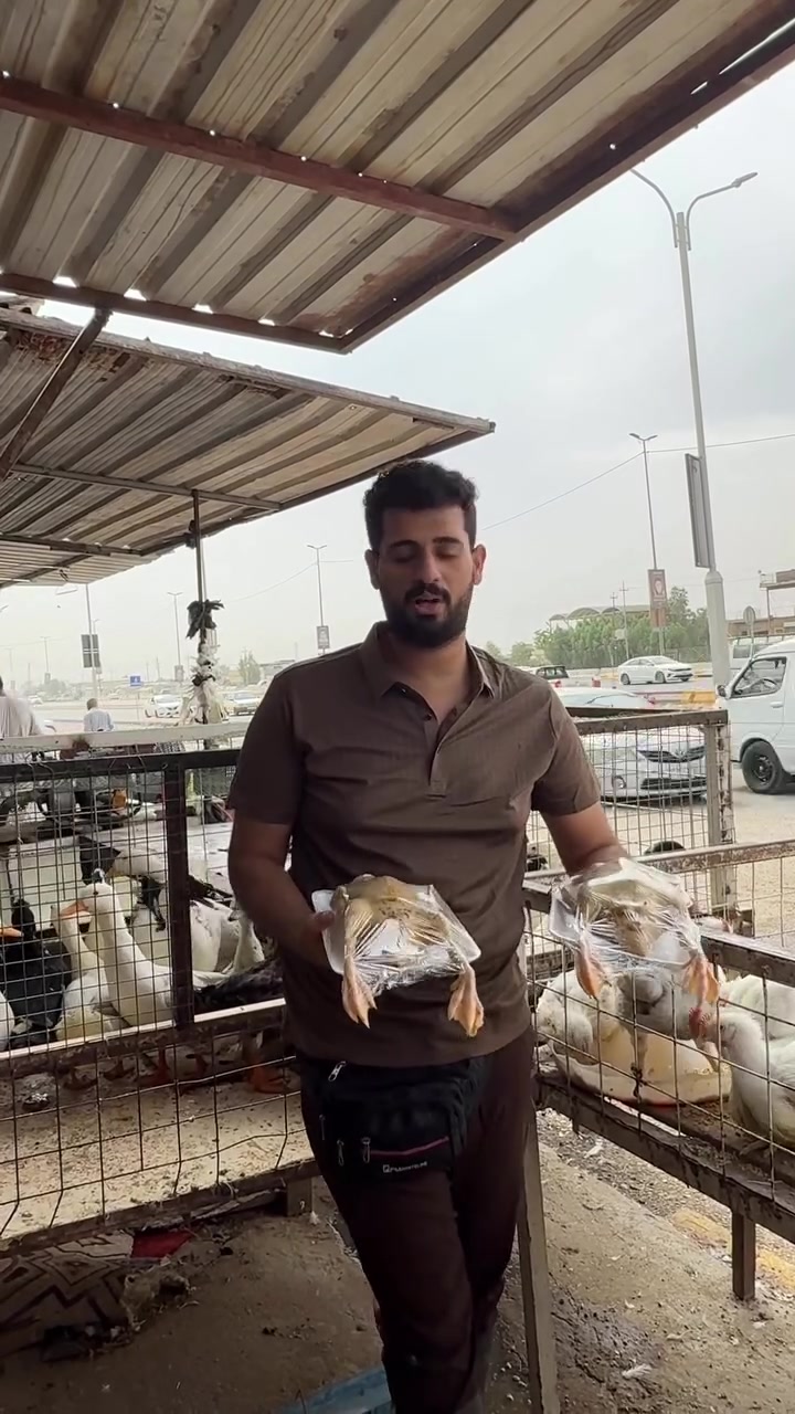 حجز واتساب • توصيل النجف