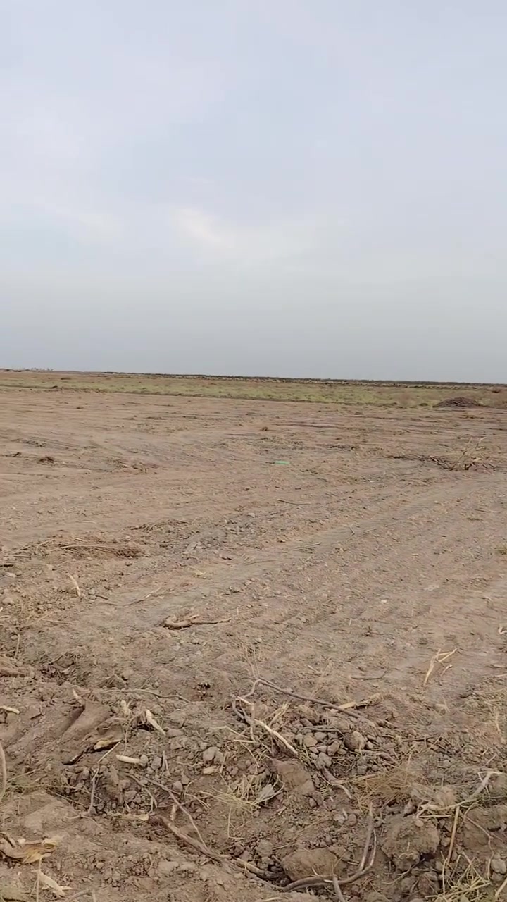 الفلوجه ذراع دجله • ٣٥ دونم • طابو زراعي