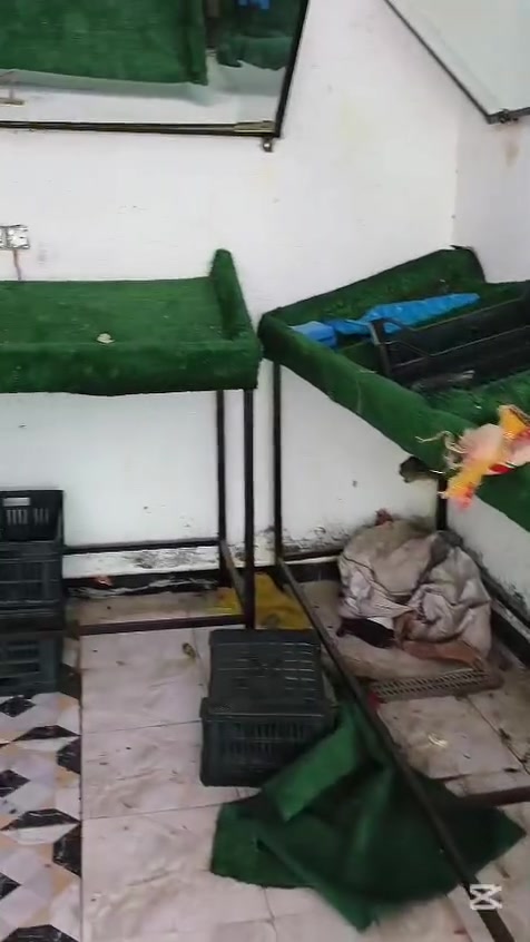 السلا عليكم 
عدنه طبلات مال مخضر 14 متر مقطعات كل وحده 3امتار 
ورحمه على ابيكم بدون وعود كاذبه ملينه منها الي يريد يشتري هلا بي   ***********
