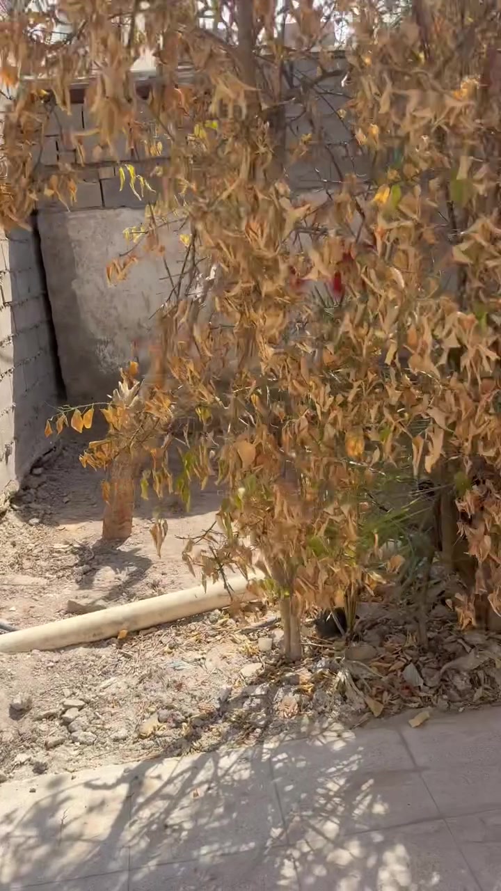 بيت تجاوز للبيع موضح في الفيديو يتكون من مطبخ وصاله وغرفه نوم وحمام وتواليت وكراج مرتب مساحته 120 منطقه الدوره حي الصحه قرب قصابه ابو خليل واولاده وجامعه كلكامش للاستفسار ***********
