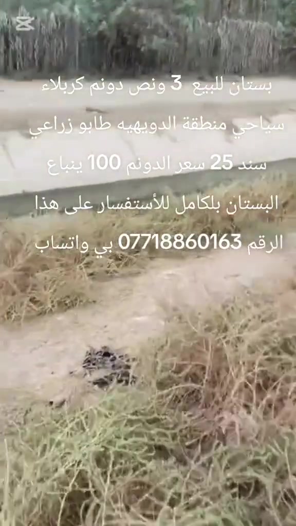 الدويهيه • أرض • ٣