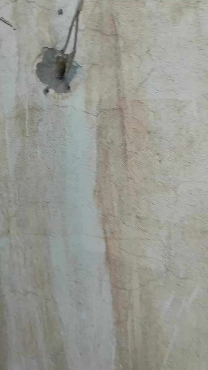 ٢٤٠٠٠ طير • ١٣ دونم • طابو سند
