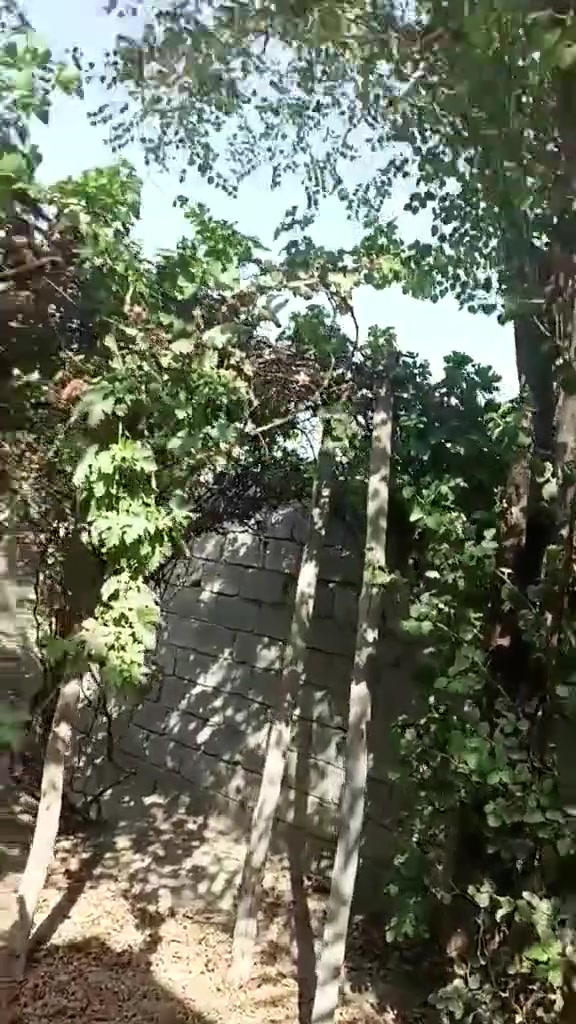بيت جاهز للبيع غرفتين نوم هول كلدور صاله مطبخ حديقه صحيات عدد 2 حمام داخلي حديقه جبيره شارع 80 استفسار ***********
