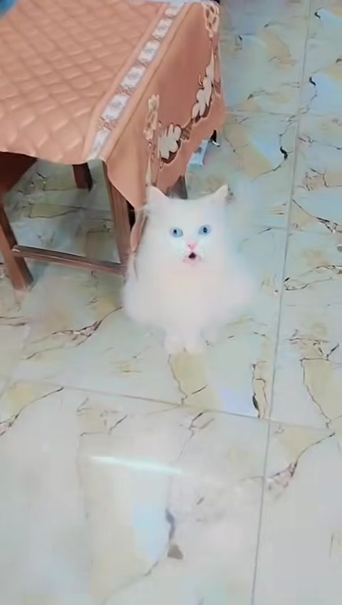 مزرعه جمانه • إيجار • قضاء بلد