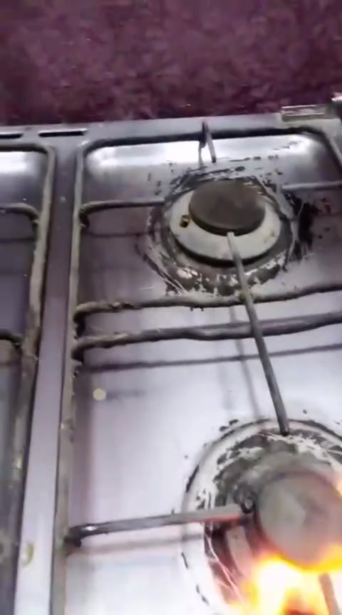 طباخ • شغال • شرط فحص