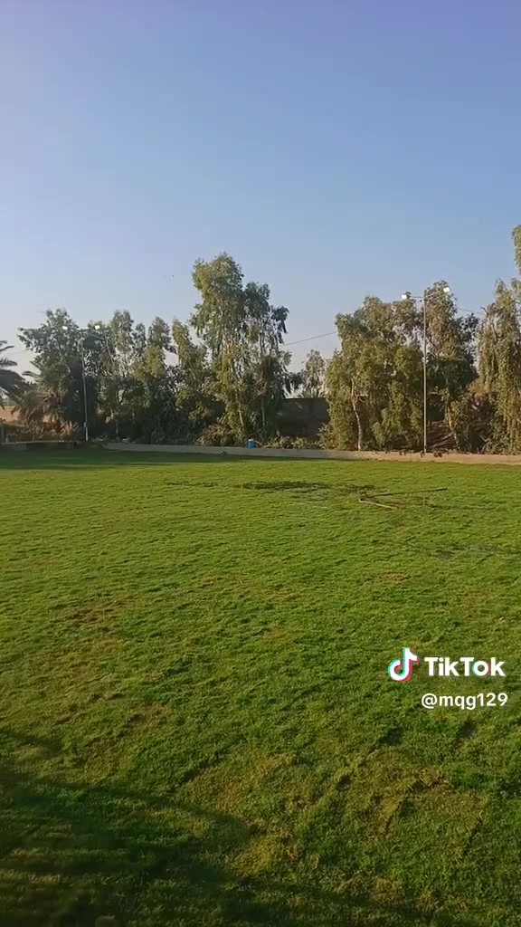 يوجد كافت أنواع ثيل الطبيعي توصيل لجميع محافظة ***********
