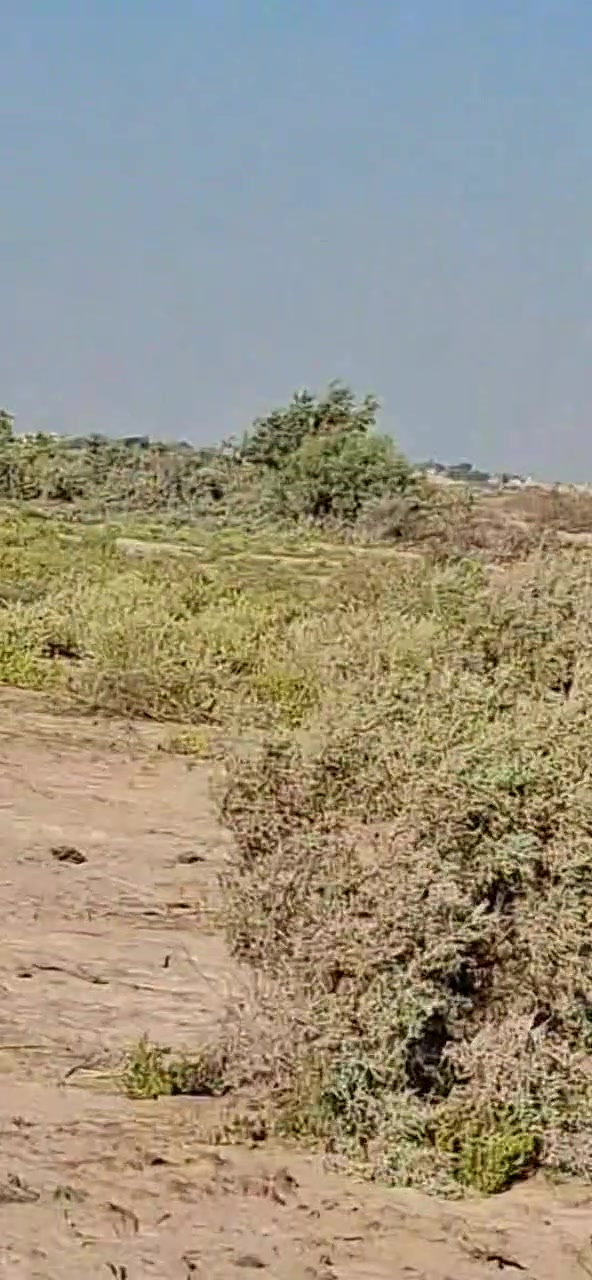 سفحة ثانية • قطعة 4 و29 • سند