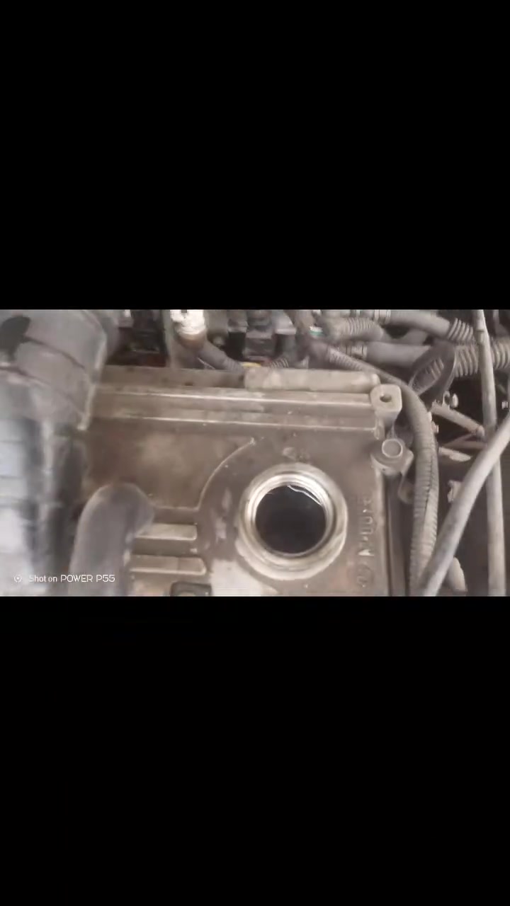 تفصيخ • سايبا • المسيب