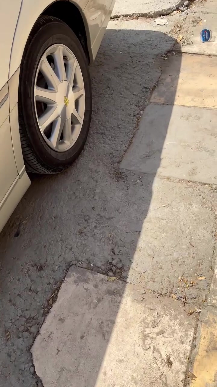 تخم ويل نجمه ابيض مراوس بنفطي ***********
