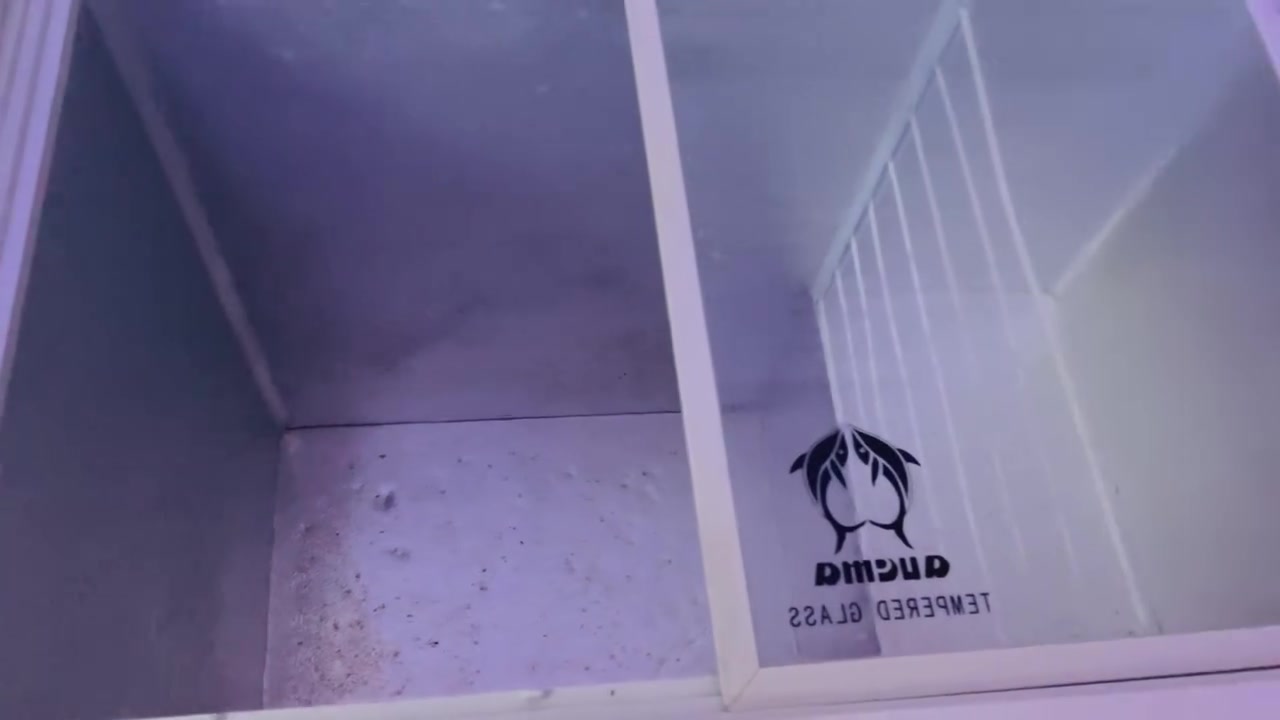 السلام عليكم مجمدة للبيع نظيفه
بس ايده تبديل السعر على هذا رقم***********
