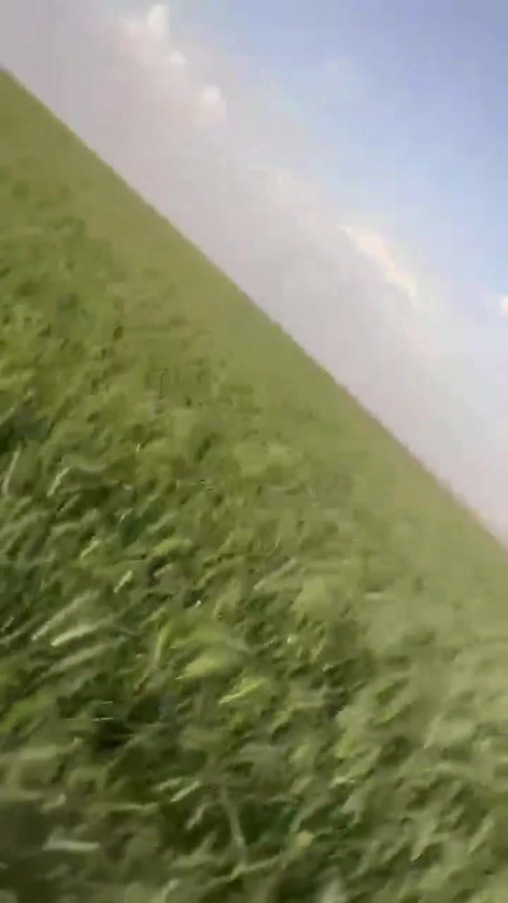 سلام عليكم مزرعه للبيع ٣٠٠ دونم السماوه فوق من صيطرة ال بطاح مزرعه جاهزه حاليآ بيه مكينه وبير وغطاس كهرباء موجوده خمس
 ميت متر بس ماساحب  للإستفسار ***********
او ***********
