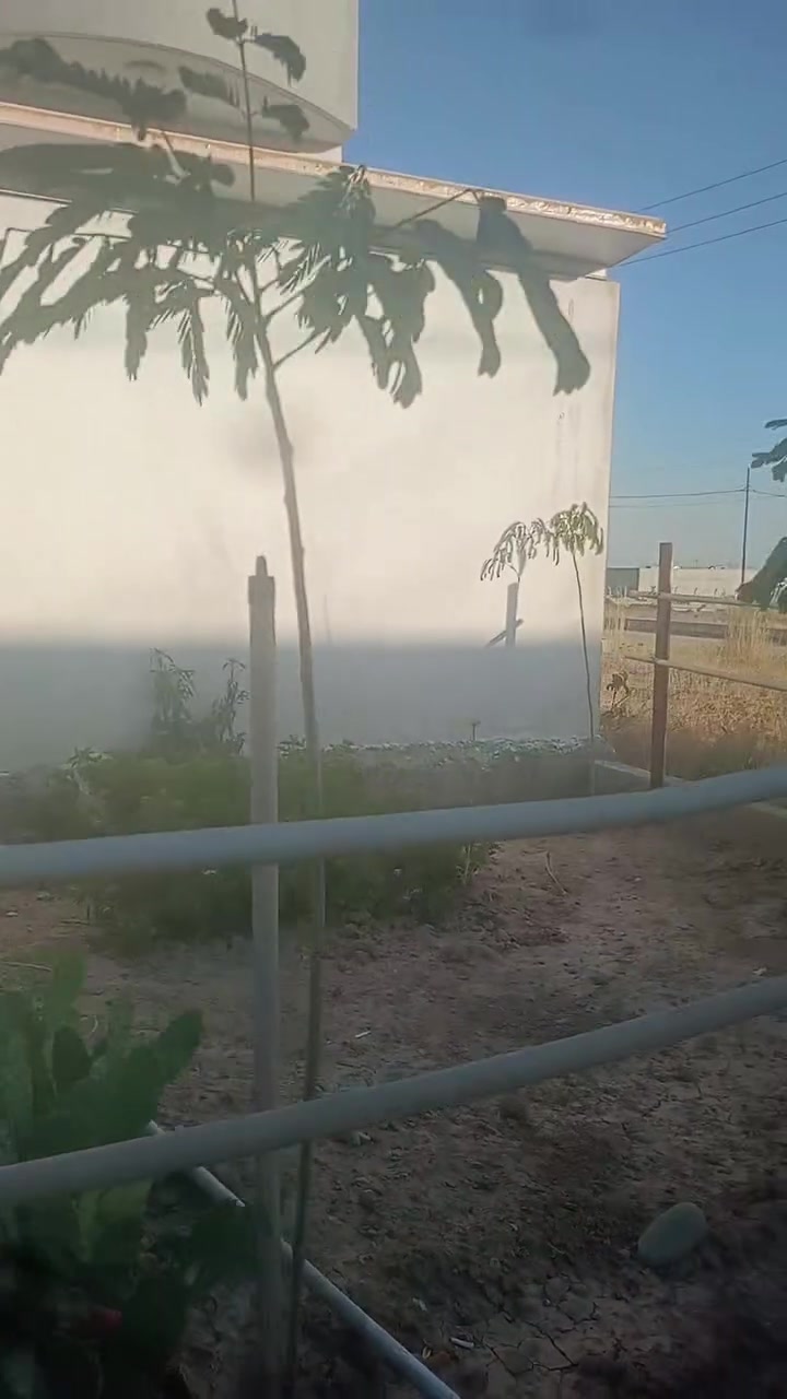 بيت للبيع زراعي مساحته 100متر مربع يحتوي على ثلاثه غرف نوم وصاله مع صحيات وغرفه نوم الثالثه في الطابق الثاني مع صحيات موقعه شوراو الثانيه قرب جامع النور الهادي سعره 55 بيه مجال والاتصال على الارقام *********** و ***********
