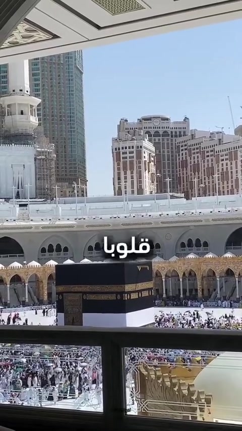 عمرة • تقسيط • ذهاب وإياب