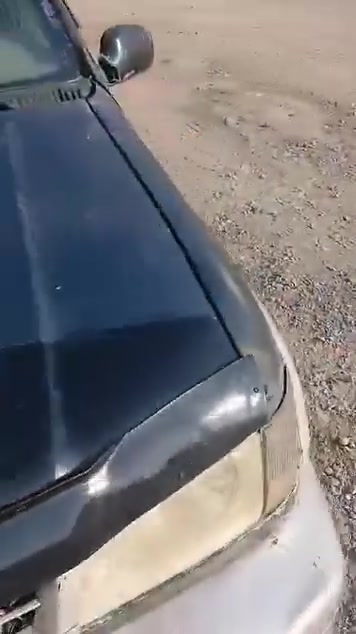 دار • ١٠٠م • بازيان