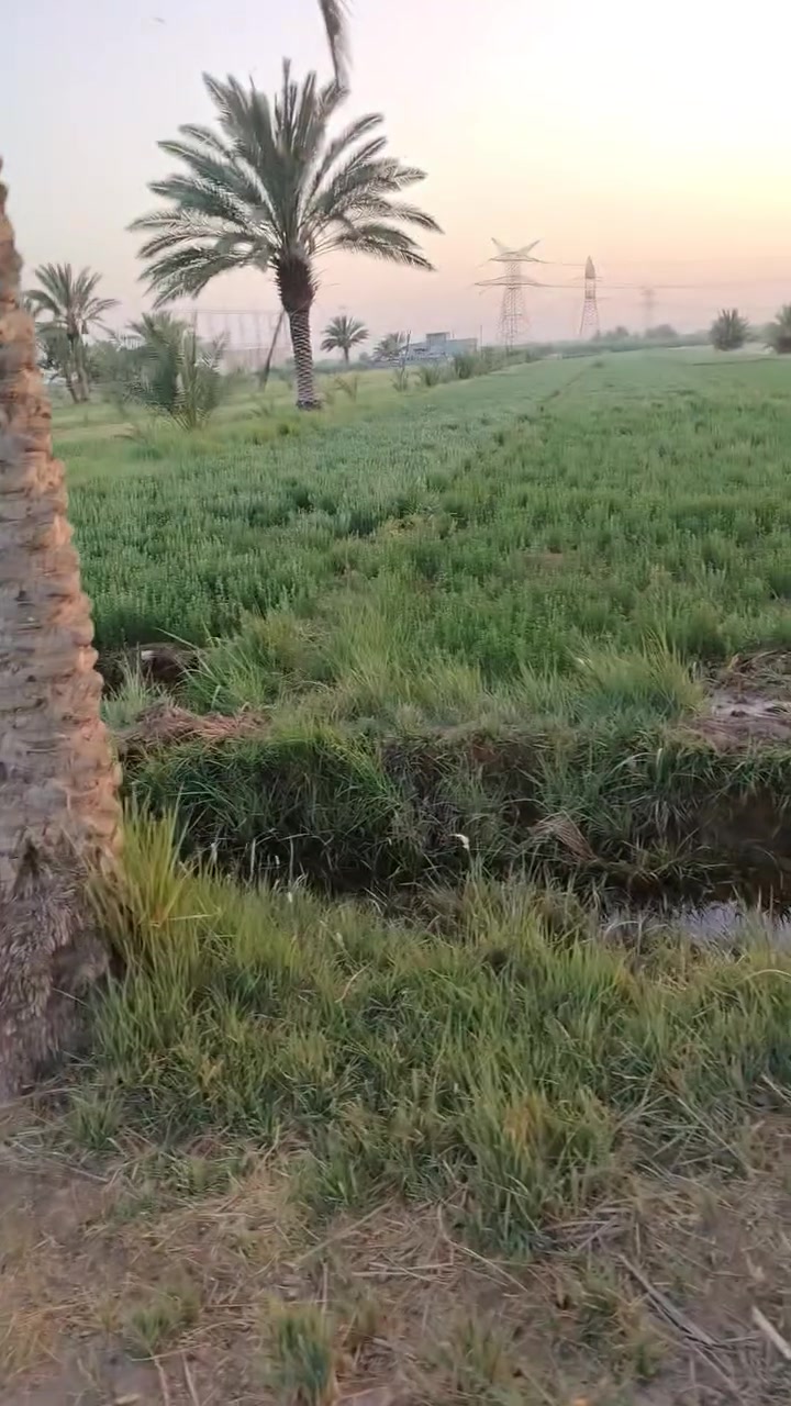 ارض زراعيه للبيع ارض كلش حلوه مساحته 5 دونم واصله كهرباء ومي اساله ومي سكي كلشي متوفر بيه
عنوانه طريق كربلاء حله خلف طاقه الكهرباء قرب المعهد التقني بابل
للاستفسار ***********
