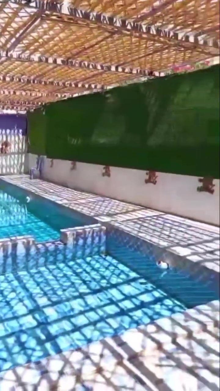 واحلى شاليه على شط الكوفه
للحجز واتساب ***********
