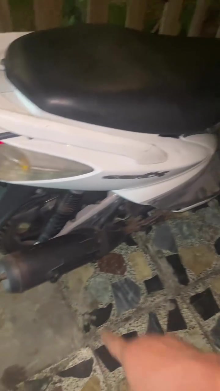السلام عليكم سكنس فحل ياباني للبيع كلشي مشروح بل فديو و موضح سعرها 950 وبيها مجال للطيبين التواصل خاص على الرقم ***********  مكاني بغداد حي اور
