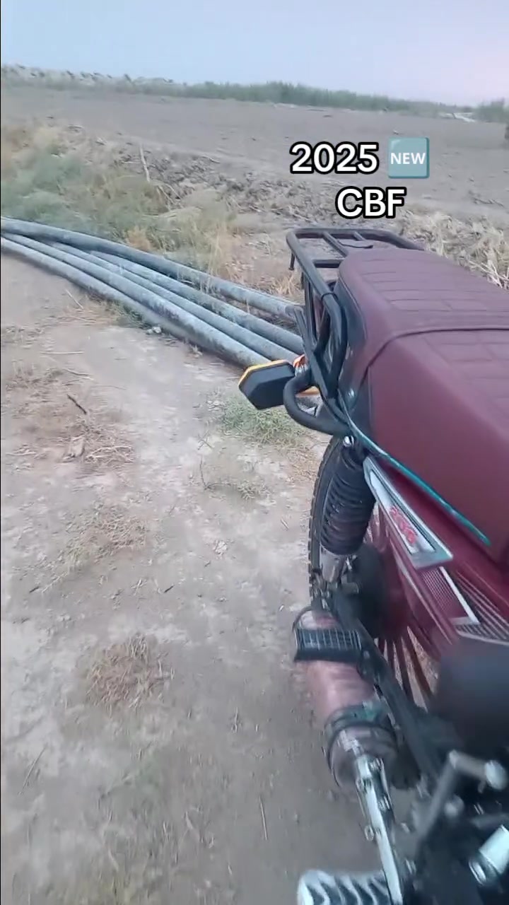 موديل ٢٥ • كفاله عامه • ضاقطه وزنجيل