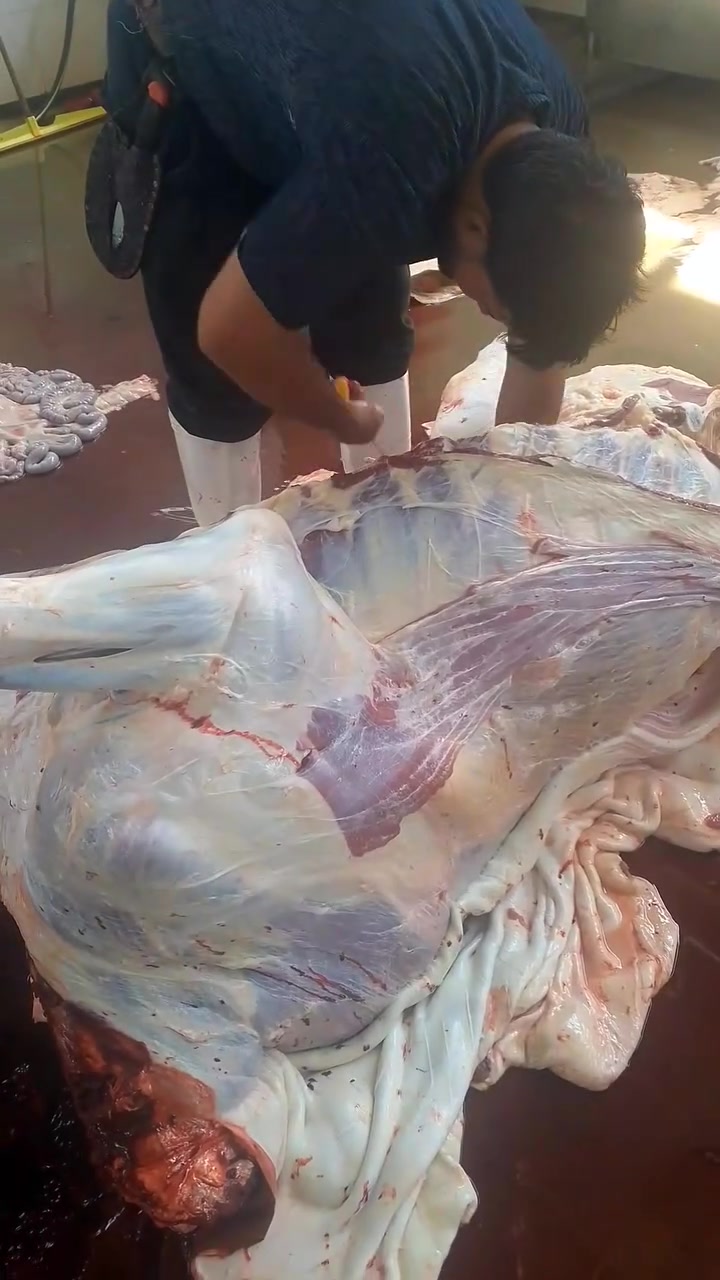 قصابة ابو تراب 
بسم الله الرحمن الرحيم
بعون الله تعالى وتبارك تم تجهيز قصابة ابو تراب بلحم عجل عراقي   ومن الله التوفيق
تموز مقابل جامع ابو تراب
قصابة ابو تراب
***********
***********
***********
توجد خدمة توصيل 
اهلآ وسهلآ بالزائرين الكرام
